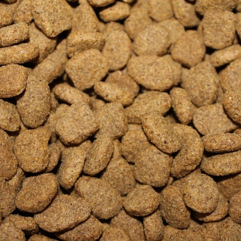 Dry Food