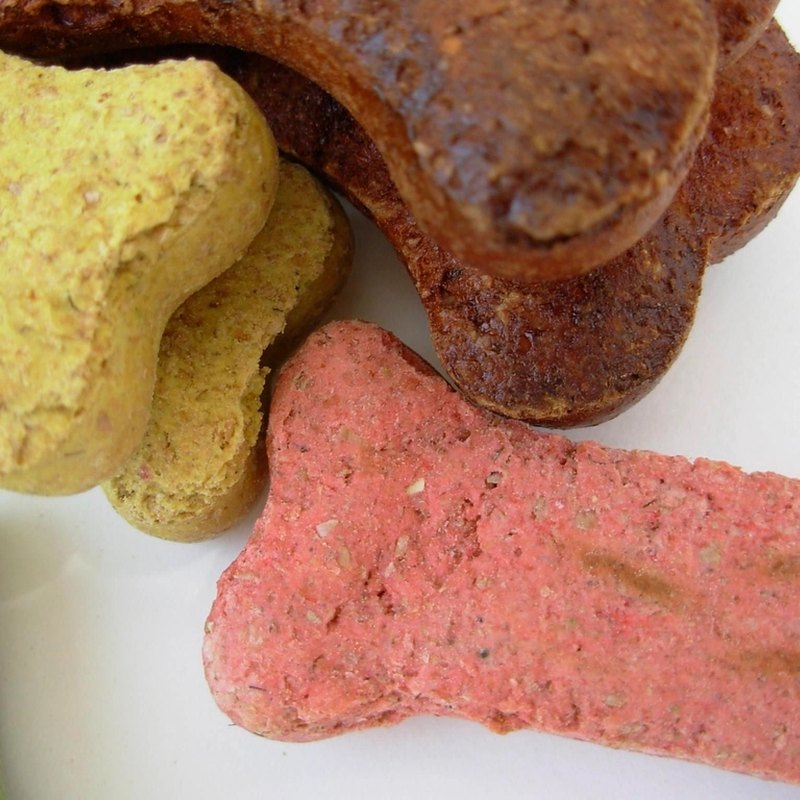 Wet Food & Treats