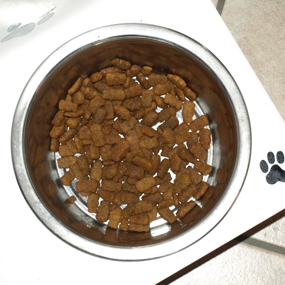 Grain-Free Adult Dog Food, 12kg